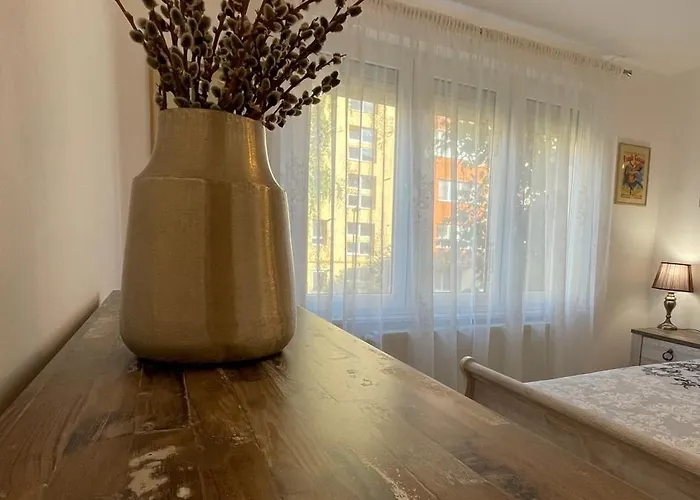 Апартаменты 2_traveler's Retreat Брашов